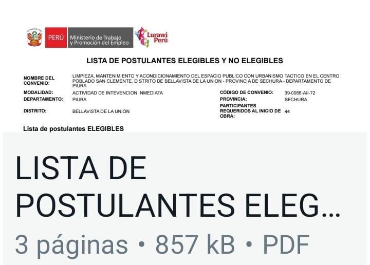 LISTA DE PARTICIPANTES ELEGIBLES Y NO ELEGIBLES LLAMKASUN – 2024
